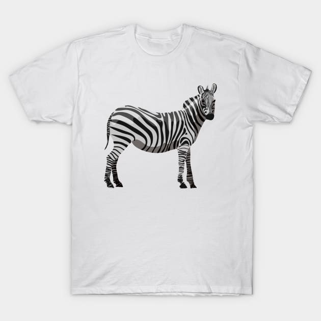 Zebra - Cute Zebra T-Shirt by KC Happy Shop